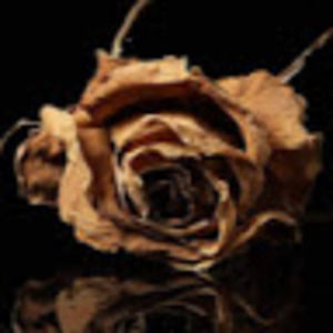 Meet your Posher, Lydia